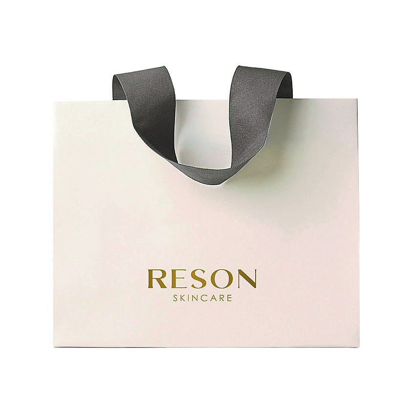 Изображение товара RESON Подарочный пакет Gift Bag, 1 шт
