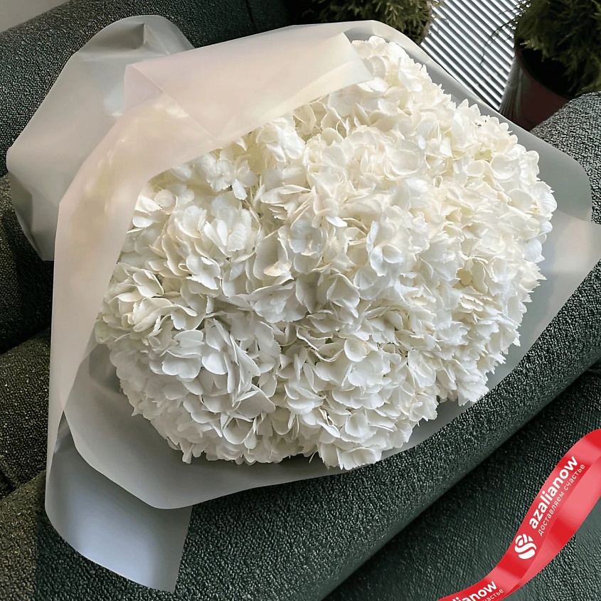 Изображение товара Букет из 9 белых гортензий в белой бумаге - элегантный подарок на любой праздник