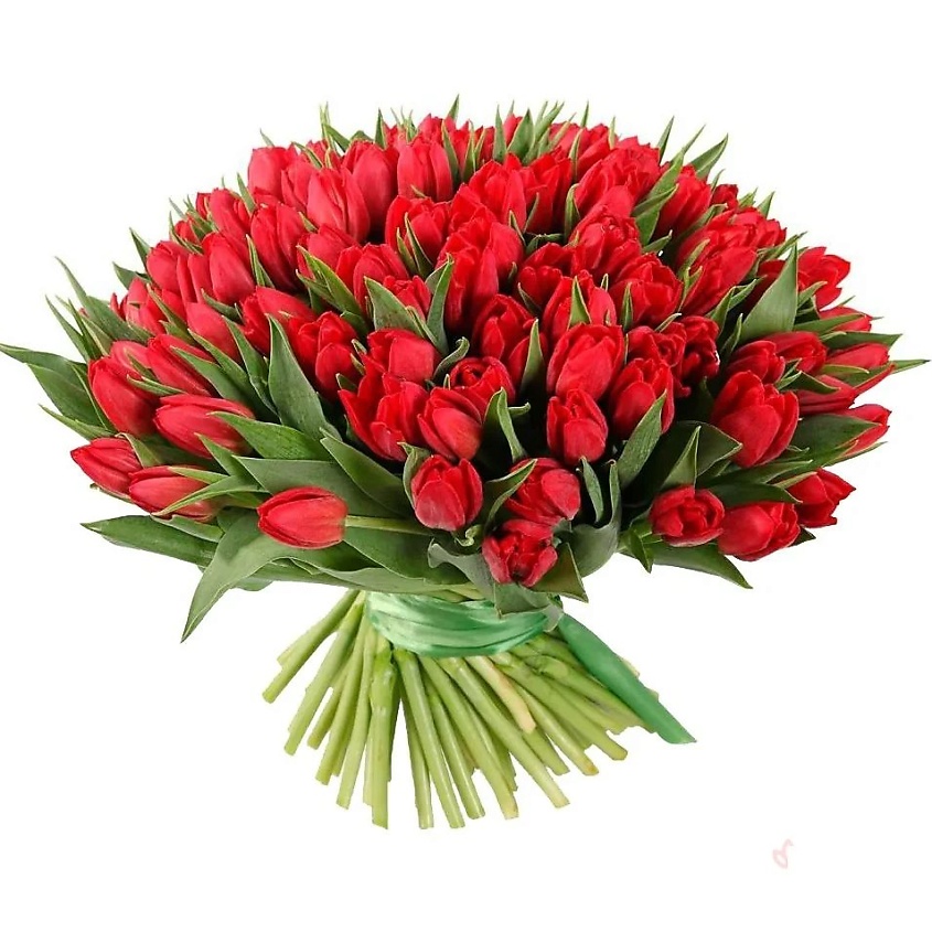 Изображение товара AZALIANOW ЦВЕТЫ. ПОДАРКИ. ДЕКОР Букет из 151 красного тюльпана, Букеты и композиции из живых цветов могут на несколько тонов отличаться от изображений. Часть цвета искажается в зависимости от настроек экрана.