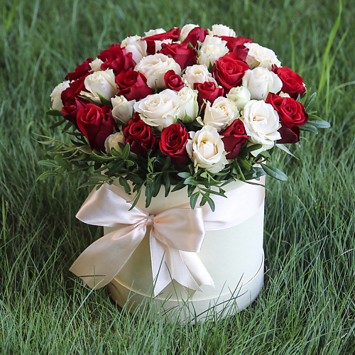 

FLORPRO Восхищение, Восхищение