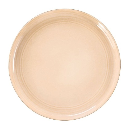 Посуда ARYA HOME COLLECTION Набор глиняных тарелок Stoneware