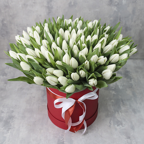 

FLORPRO 101 белый тюльпан в коробке, 101 белый тюльпан в коробке