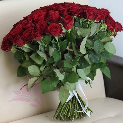 

FLORPRO 101 красная роза Ред Наоми 50 см, 101 красная роза Ред Наоми 50 см