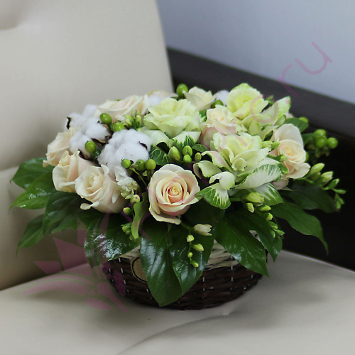 

FLORPRO Белоснежка, Белоснежка