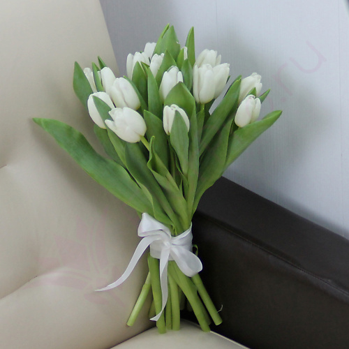 

FLORPRO 15 белых тюльпанов, 15 белых тюльпанов