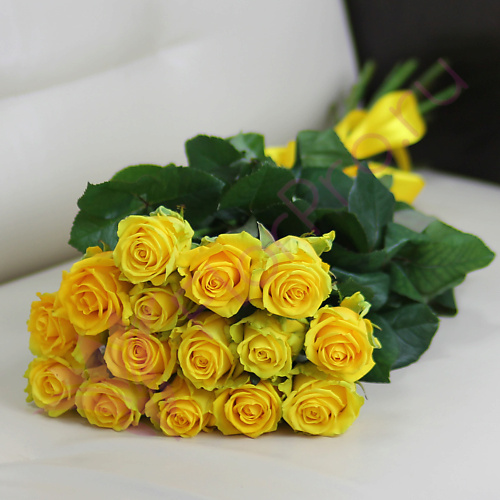 

FLORPRO 15 желтых роз Пени Лейн 80 см, 15 желтых роз Пени Лейн 80 см