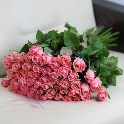 

FLORPRO 51 розовая роза Анна Карина 60 см, 51 розовая роза Анна Карина 60 см