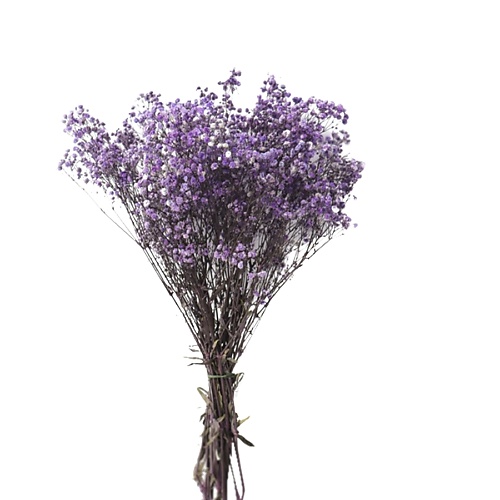 MANDARIN DECOR Букет из сухоцветов гипсофила декоративные цветы 1100₽