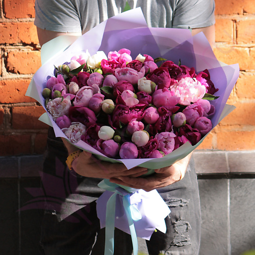 

FLORPRO 51 пион микс в дизайнерской упаковке, 51 пион микс в дизайнерской упаковке