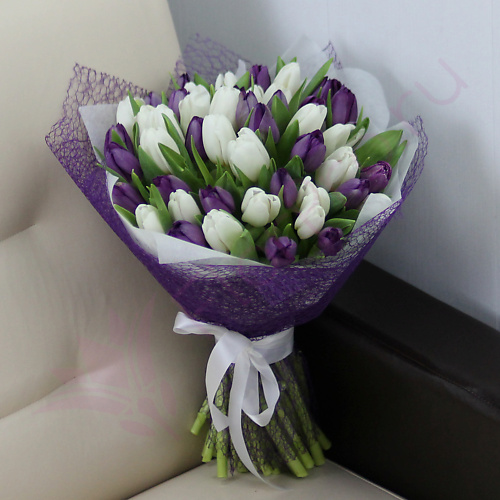 

FLORPRO 51 белый и фиолетовый тюльпан в упаковке, 51 белый и фиолетовый тюльпан в упаковке