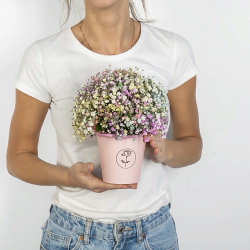 

ЛЭТУАЛЬ FLOWERS Радужная дымка, Радужная дымка