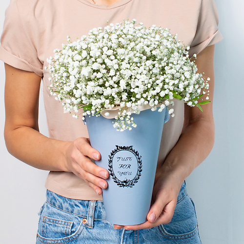 

ЛЭТУАЛЬ FLOWERS Зефирка, Зефирка