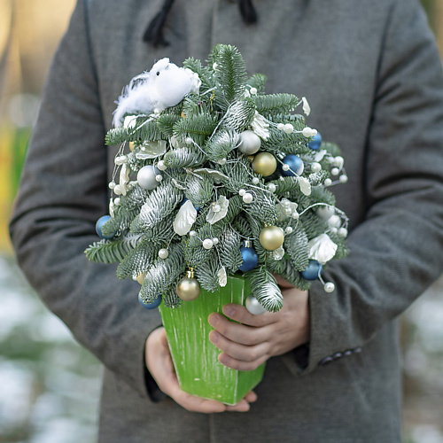 

FLORPRO Ель домашняя, Ель домашняя