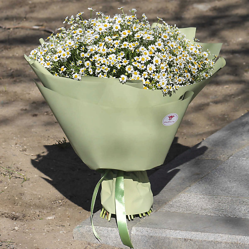 

FLORPRO Ромашковое поле Normal, Ромашковое поле Normal