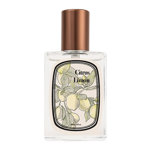 

ATELIER FAYE Citrus Limon, Citrus Limon