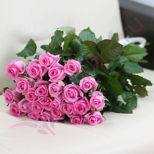

FLORPRO 25 розовых роз Ревиваль 70 см, 25 розовых роз Ревиваль 70 см