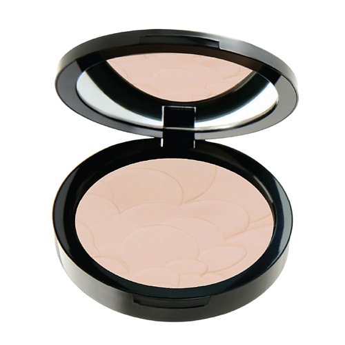 PASTEL Пудра для лица PROFASHION ADVANCED POWDER