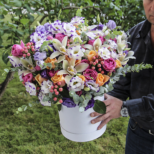 

FLORPRO Диана, Диана