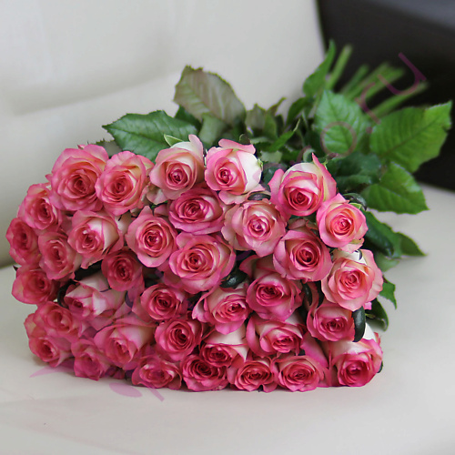 

FLORPRO 35 розовых роз Джумилия 50 см, 35 розовых роз Джумилия 50 см