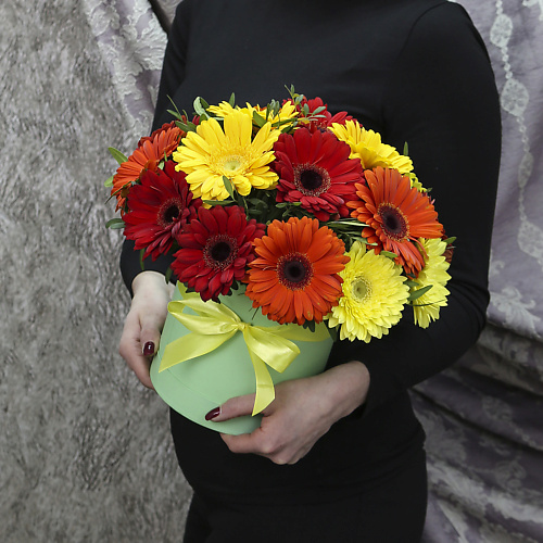 

FLORPRO 17 гербер микс с зеленью в коробке, 17 гербер микс с зеленью в коробке