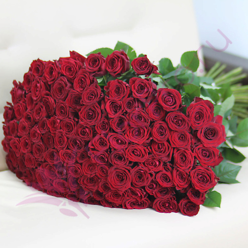 

FLORPRO 101 красная роза Ред Наоми 70 см, 101 красная роза Ред Наоми 70 см