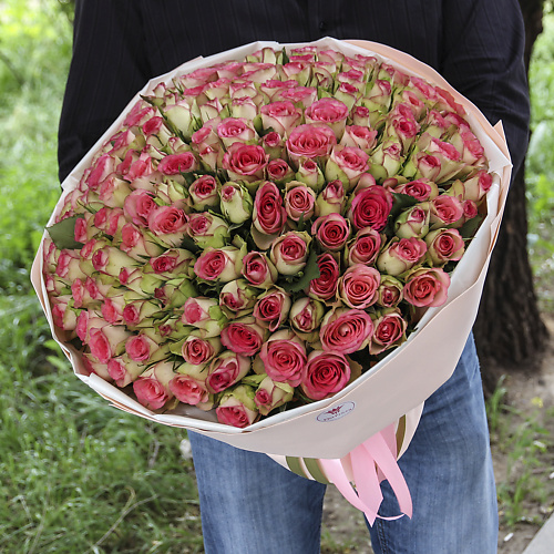 

FLORPRO 151 роза МОНО №1 (Кения), 151 роза МОНО №1 (Кения)