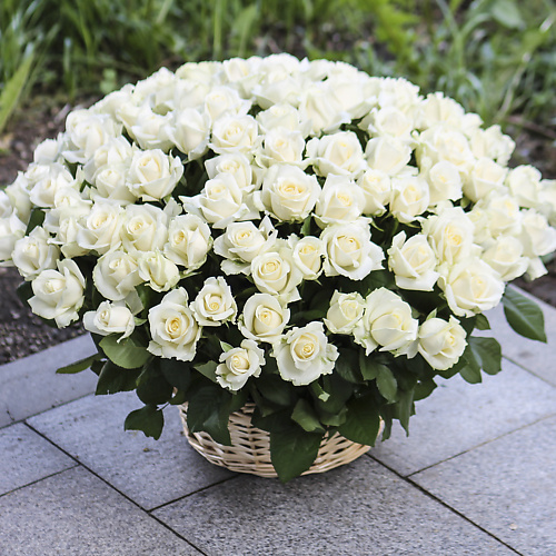 

FLORPRO 101 белая роза в корзине, 101 белая роза в корзине