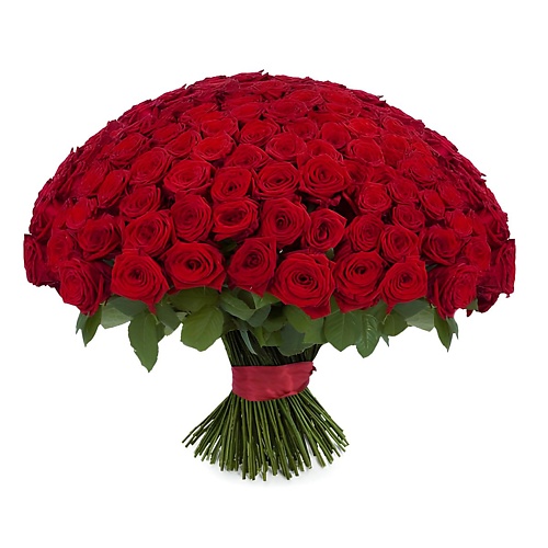 

FLORPRO 151 красная роза Ред Наоми 50 см, 151 красная роза Ред Наоми 50 см