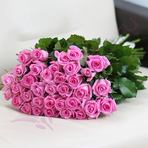 

FLORPRO 35 розовых роз Ревиваль 50 см, 35 розовых роз Ревиваль 50 см