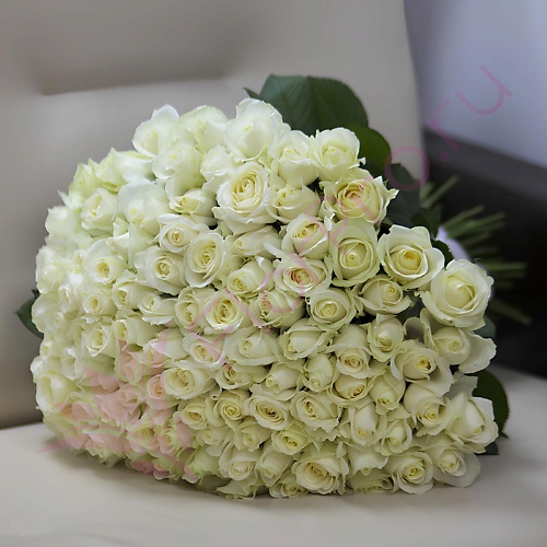 

FLORPRO 101 белая роза "Аваланч" 50 см, 101 белая роза "Аваланч" 50 см