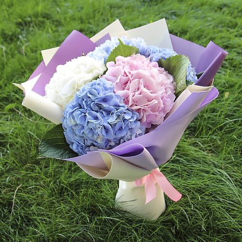 

FLORPRO 5 гортензий микс, 5 гортензий микс