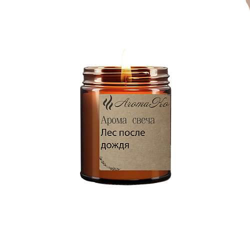 

AROMAKO Свеча"Лес после дождя" 100.0, Свеча"Лес после дождя"