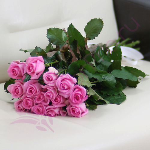 

FLORPRO 15 розовых роз Ревиваль 80 см, 15 розовых роз Ревиваль 80 см