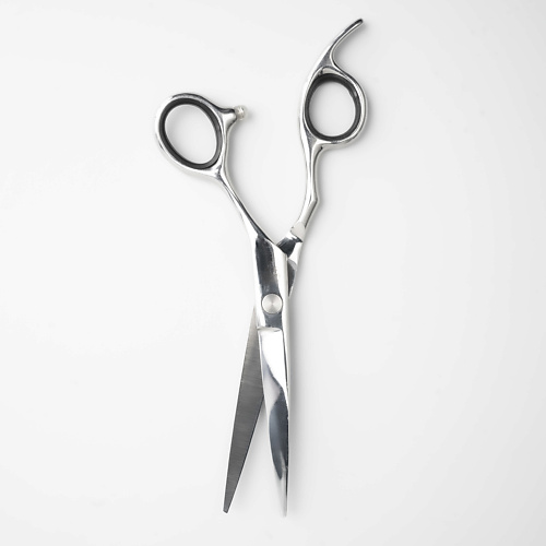 Ножницы MELONPRO Парикмахерские ножницы silver edition прямые 6,0
