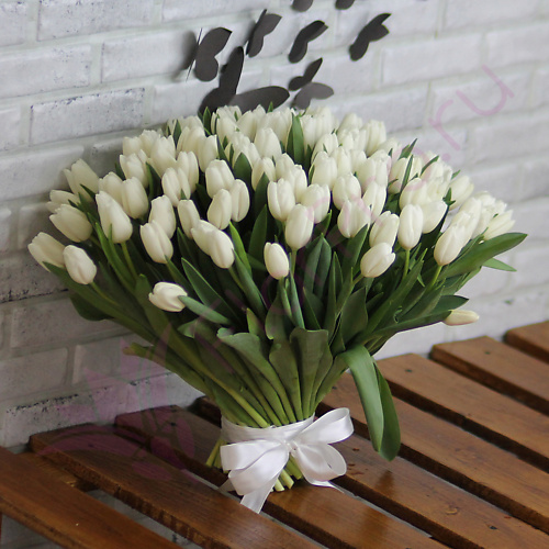 

FLORPRO 101 белый тюльпан, 101 белый тюльпан