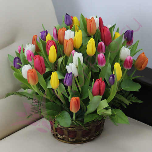 

FLORPRO 51 тюльпан микс в корзине, 51 тюльпан микс в корзине