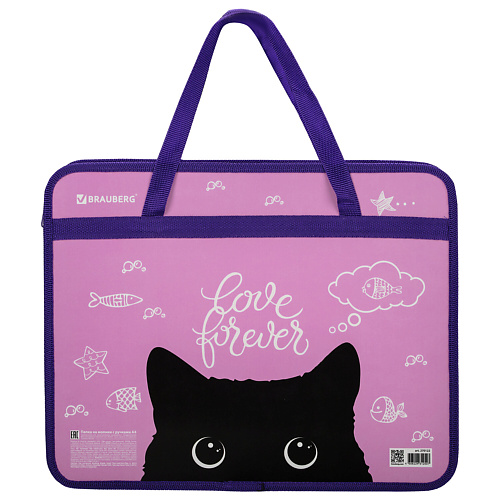 

BRAUBERG Папка на молнии с ручками Black Cat, Папка на молнии с ручками Black Cat