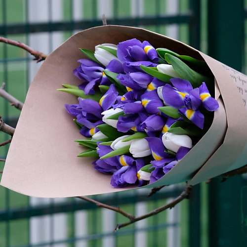 

FLORPRO Букет «11 белых тюльпанов и 10 синих ирисов в упаковке», Букет «11 белых тюльпанов и 10 синих ирисов в упаковке»