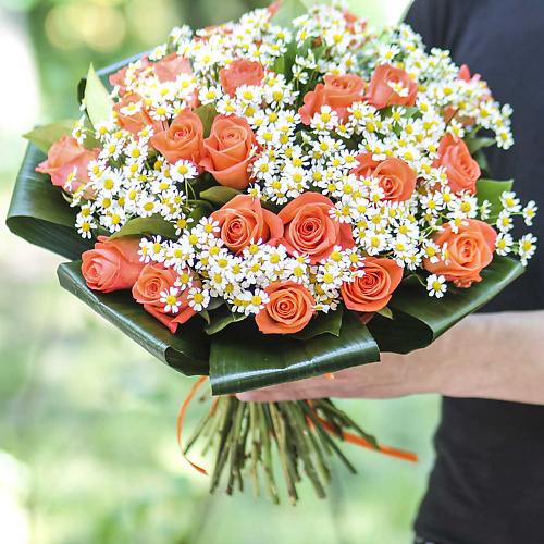 

FLORPRO Ромашки и корраловые розы Mini, Ромашки и корраловые розы Mini