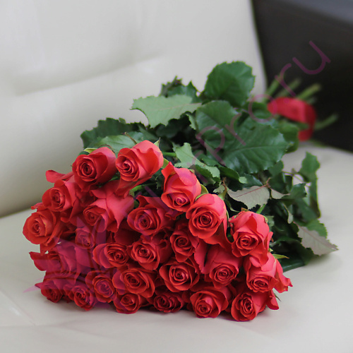 

FLORPRO 25 коралловых роз Вау 60 см, 25 коралловых роз Вау 60 см