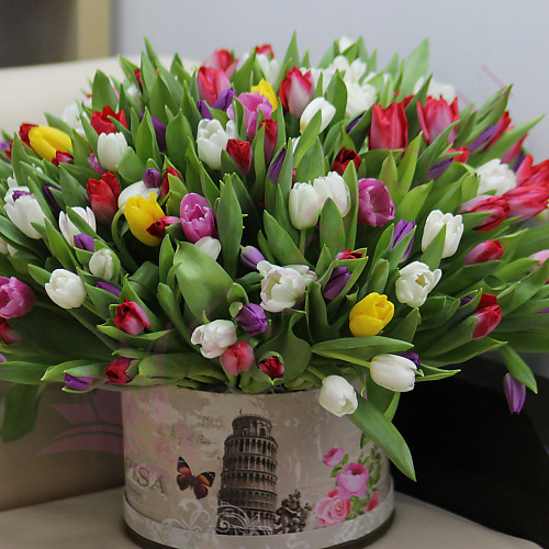 

FLORPRO 201 тюльпан микс в коробке, 201 тюльпан микс в коробке