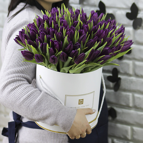 

FLORPRO 101 фиолетовый тюльпан в коробке, 101 фиолетовый тюльпан в коробке