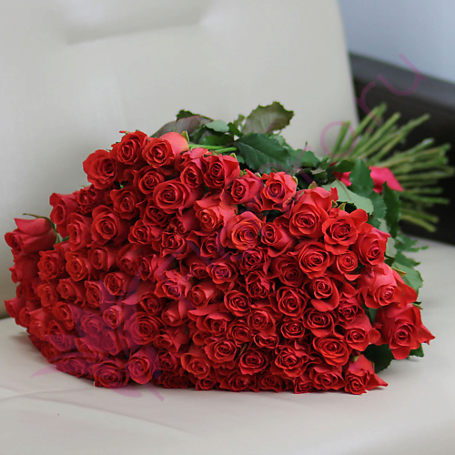 

FLORPRO 101 коралловая роза Вау 70 см, 101 коралловая роза Вау 70 см