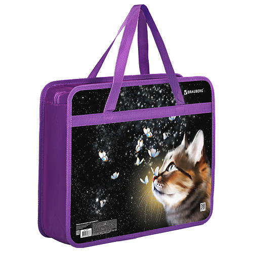 

BRAUBERG Папка на молнии с ручками, 1 отделение, Dream cat, Папка на молнии с ручками, 1 отделение, Dream cat