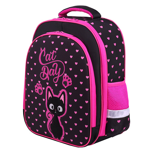 

BRAUBERG Ранец KIDS STANDARD, Amazed cat, Ранец KIDS STANDARD, Amazed cat