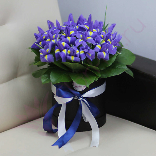 

FLORPRO 25 синих ирисов в шляпной коробке, 25 синих ирисов в шляпной коробке