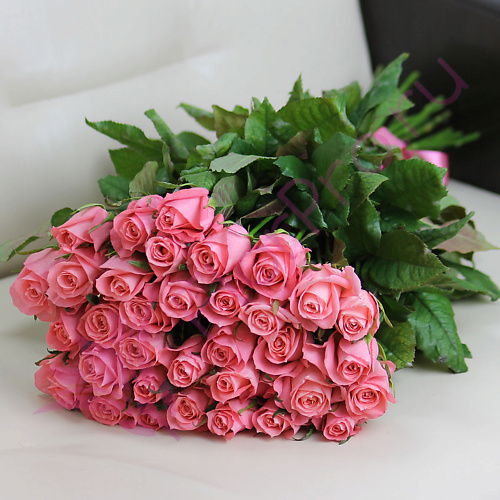 

FLORPRO 35 розовых роз Анна Карина 80 см, 35 розовых роз Анна Карина 80 см