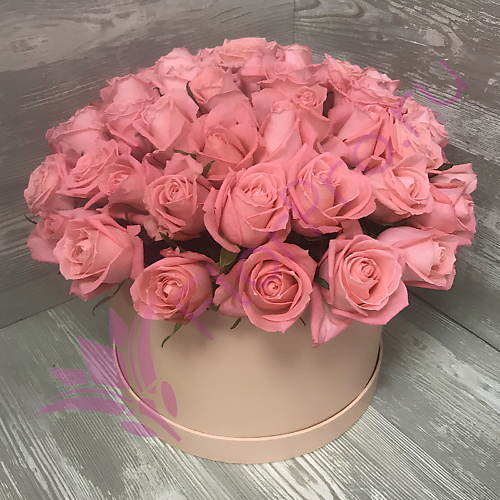 

FLORPRO 51 роза Анна Карина в шляпной коробке, 51 роза Анна Карина в шляпной коробке