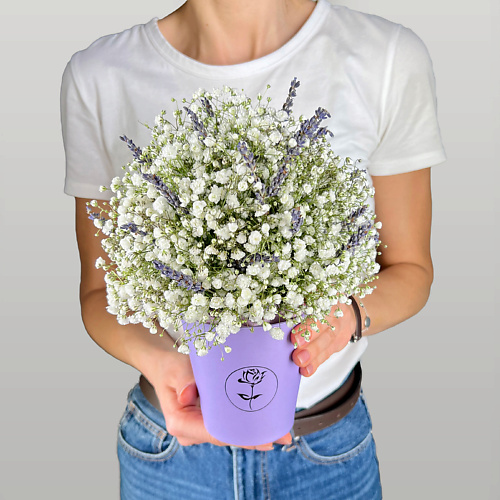 

ЛЭТУАЛЬ FLOWERS Композиция из гипсофилы и лаванды в коробке, Композиция из гипсофилы и лаванды в коробке