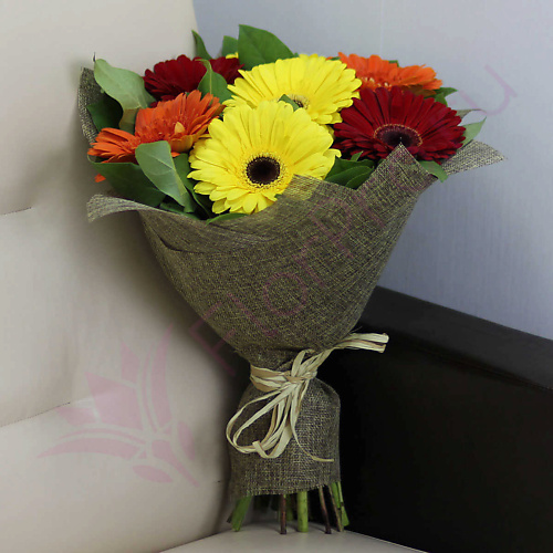 

FLORPRO 7 гербер микс, 7 гербер микс